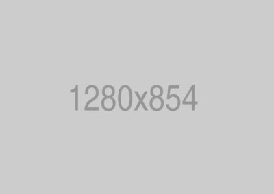 Project Name